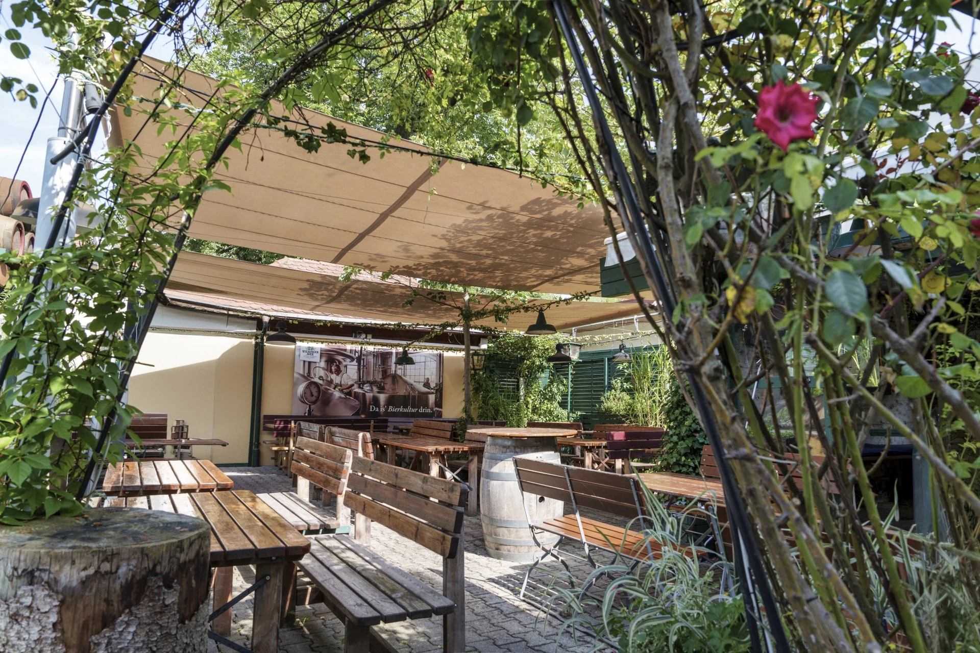 126 LET WieningerBräu 2xTrapez 5