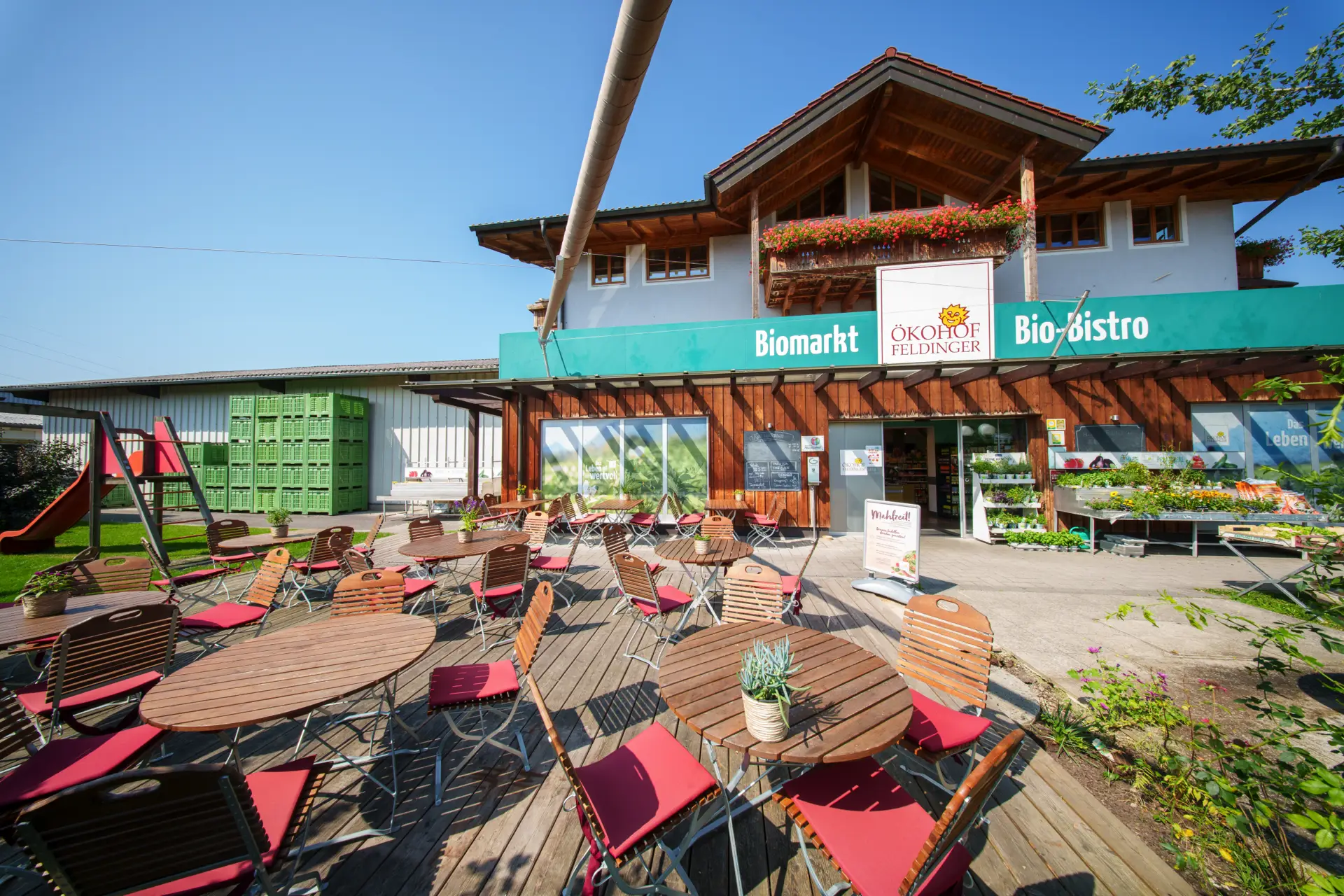 155 LET Oekohof Feldinger DDR 1